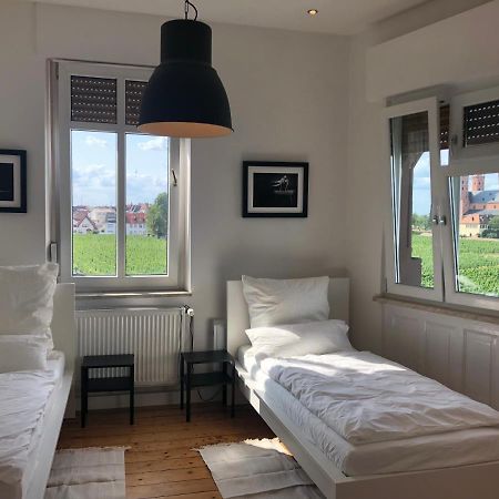 Luxe Apartment Am Rhein Worms Dış mekan fotoğraf