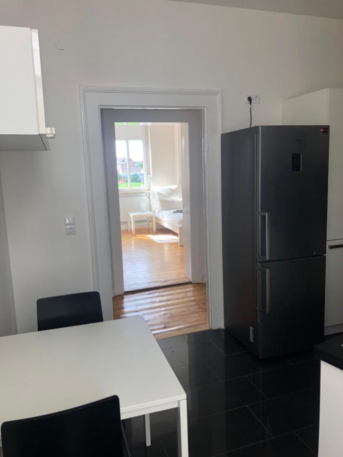 Luxe Apartment Am Rhein Worms Dış mekan fotoğraf